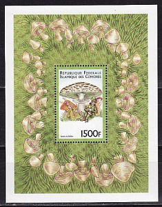 Коморы, 1999, Грибы, Эльфы, блок